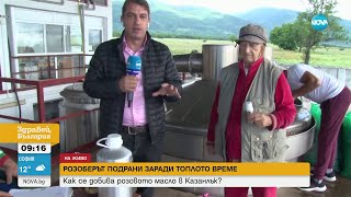 Защо азиатците изкупуват българското розово масло - Здравей, България (30.05.2024)