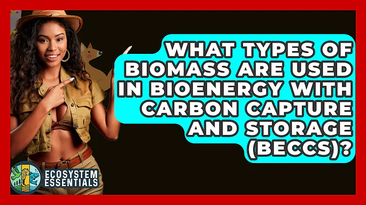 What Types Of Biomass Are Used In Bioenergy With Carbon Capture And Storage (BECCS)?
