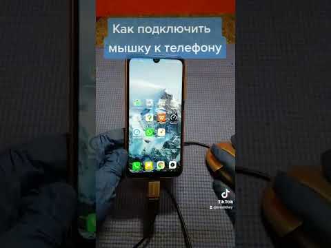 Как подключить мышку к телефону USB-OTG