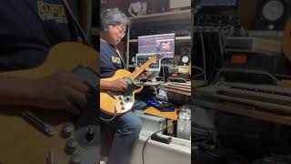 A Pocketful Of Stones / David Gilmour cover 01
