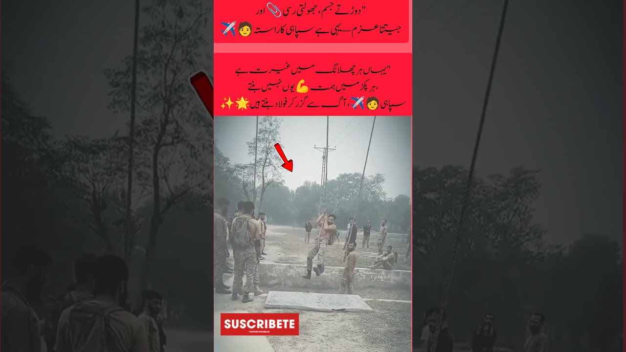 Fearless Training — Strength Beyond Limits