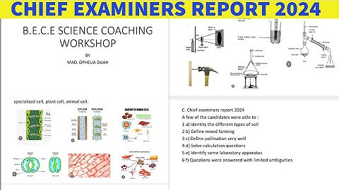 2024 BECE Integrated Science CHIEF EXAMINERS REPORT