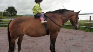 2 year old Amalie and Misty, a clicker trained pony, go 'jumping'.