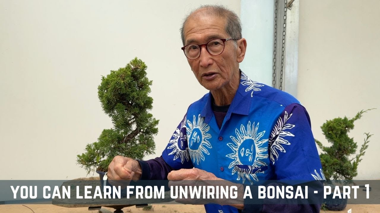 You Can Learn From Unwiring a Bonsai - Part 1