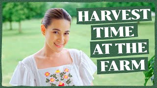 FARM UPDATE: OUR NEW VEGETABLE GARDEN   LAZY RAINY AFTERNOON AT BEATI FIRMA | Bea Alonzo