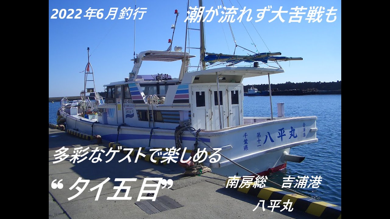 潮が流れず大苦戦もゲストは多彩 八平丸 タイ五目 Youtube