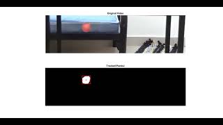 Celebrity Pendulum Track by using Matlab Net Worth