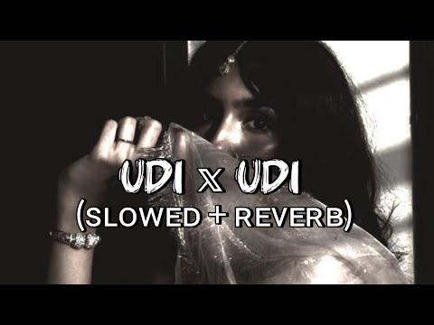 Udi Udi song🥀🦋 - ( lofi + slowed + reverb ) | Aneesh Sarkar | #trending #viralsong #viralvideo #yt