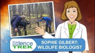 Sophie Gilbert: Wildlife Biologist | Science Trek