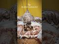 #music #radharaman #trending #vrindavan #haribol