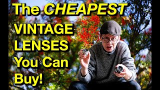 The Best CHEAP Vintage Lenses, From £20 - £40!