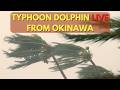 LIVE Typhoon Dolphin Hitting Okinawa Japan - 台風13号ライブ＠沖縄