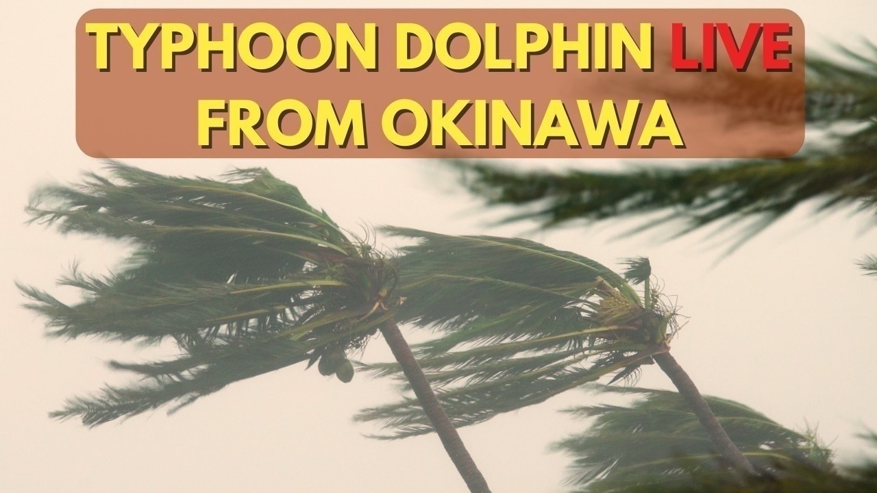 LIVE Typhoon Dolphin Hitting Okinawa Japan - 台風13号ライブ＠沖縄