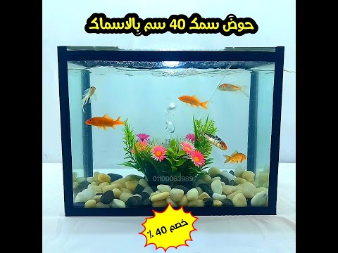 تشغيل حوض 40 سم عملة بسمك الكوي