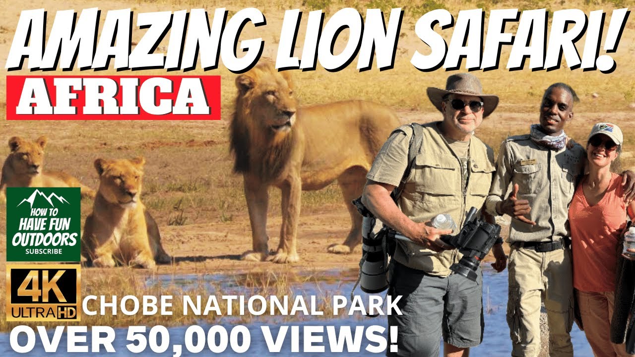 Chobe National Park Insane Lion Safari
