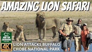 Chobe National Park Safari and Lion Safari Encounters by How To Have Fun Outdoors 22,428 views 9 months ago 30 minutes