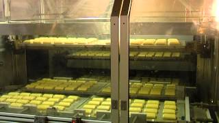 Auto-Bake Croissant Free Tray Radiant - System