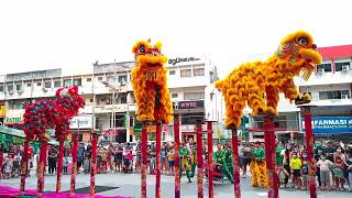 The Starling Mall  3 Acrobatic Lion Dance 2023