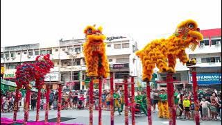 The Starling Mall - 3 Acrobatic Lion Dance 2023