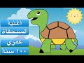 أنا السلحفاة قصص وأغاني للأطفال  