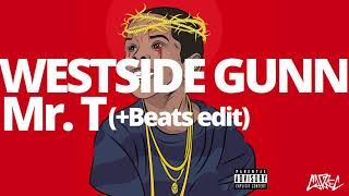 WESTSIDE GUNN - Mr. T (+Beats edit) from FLYGOD Album