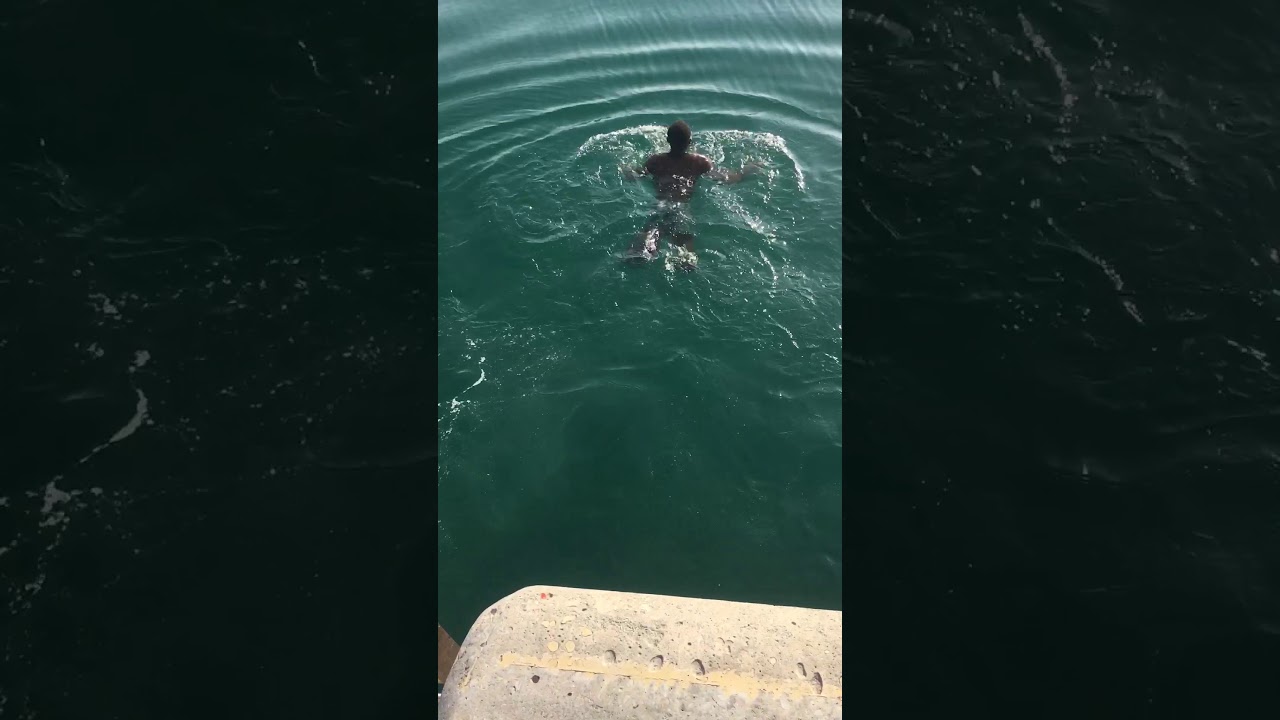 Solomon swimming in the ocean Persian gulf October 2019 - YouTube