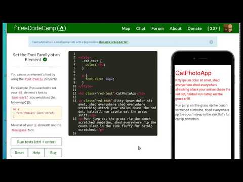 change the font family FreeCodeCamp