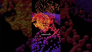 Interactive particles simulation with #threejs using instanced mesh #glsl #codeart #shaders #trail