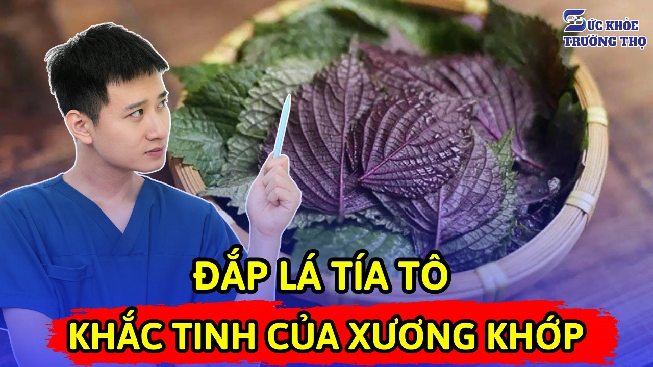 3 Cách Sử Dụng Lá Tía Tô Chữa Viêm Khớp, Đau Lưng, Đau Khớp Gối Cho Người Cao Tuổi | Bác sĩ Ngọc