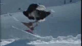 ostrich skiing