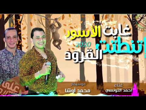 موال جديد في عالم الحظ اذا غابت الاسود اتنطتت القرود احمد التونسي واوشا مصرجديد 2020 حظ تاريخى