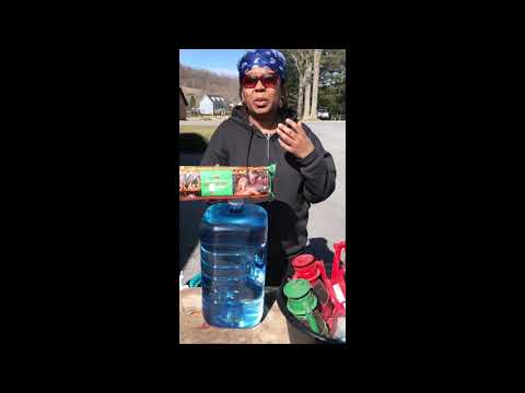BOLO FOR THESES ITEMS BOLO FOR THESE SURVIVAL ITEMS