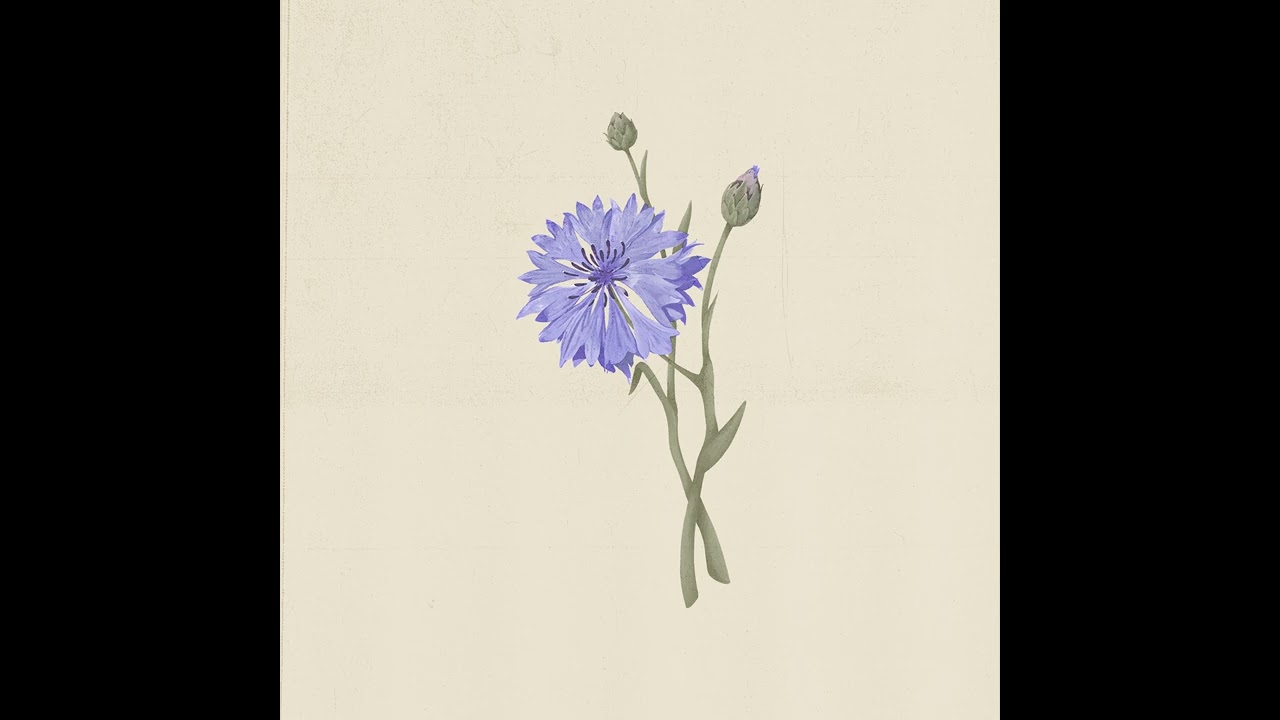 {artistName}의 {trackName} 뮤직 비디오 보기