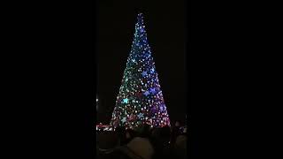 National Harbor Tree Lighting - 2017