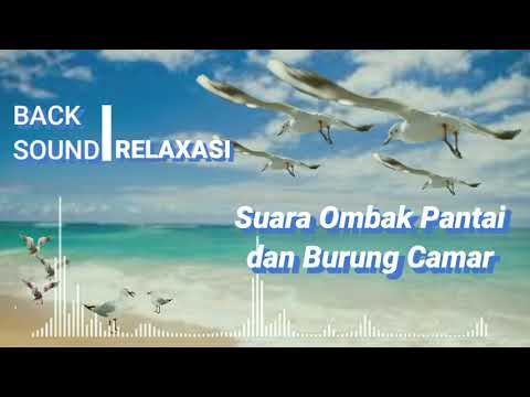 Suara Ombak di pantai dan Burung Camar. Back Sound and Relaxasing.