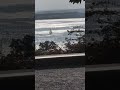 Zug. Guggi. Segelboot