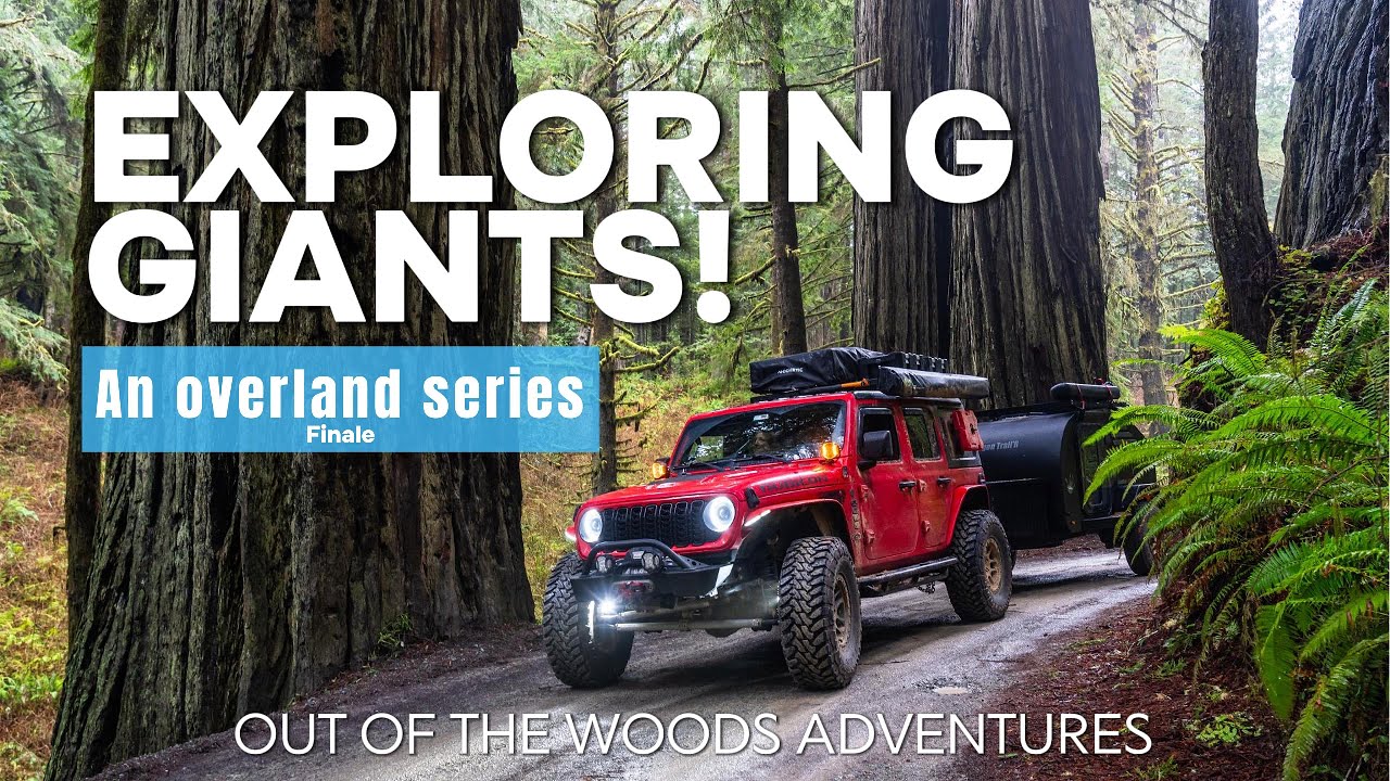 Финал тура California Overland | Исследуем величественные секвойи!