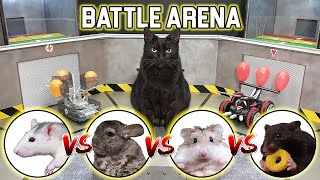 BATTLE of RC CARS - CAT🐱 \/ HAMSTER🐹 \/ RAT🐀 \/ CHINCHILLA🐭