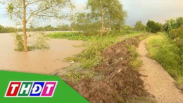 Đồng Tháp: Cảnh báo ngập lụt | THDT