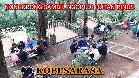 ASIKNYA NGOPI DI HUTAN PINUS CISAYONG (KOPI SARASA TASIKMALAYA)