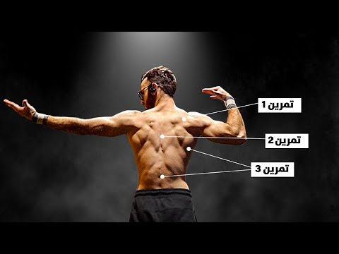 أقوى 3 تمارين للظهر بدون أوزان تمارين ظهر كامل في البيت