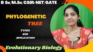 Phylogenetic Tree B.Sc 3rd year||Types||Rooted And Unrooted||#evolution #phylogeny