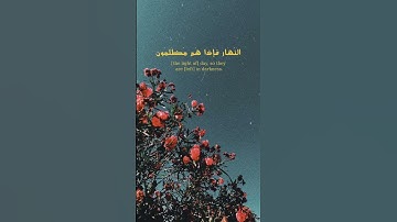 سورة  يس من الآية ( ٣٦  إلى ٤٠ )  تلاوة تفوق الخيال للشيخ محمد أيوب 💤♥️.