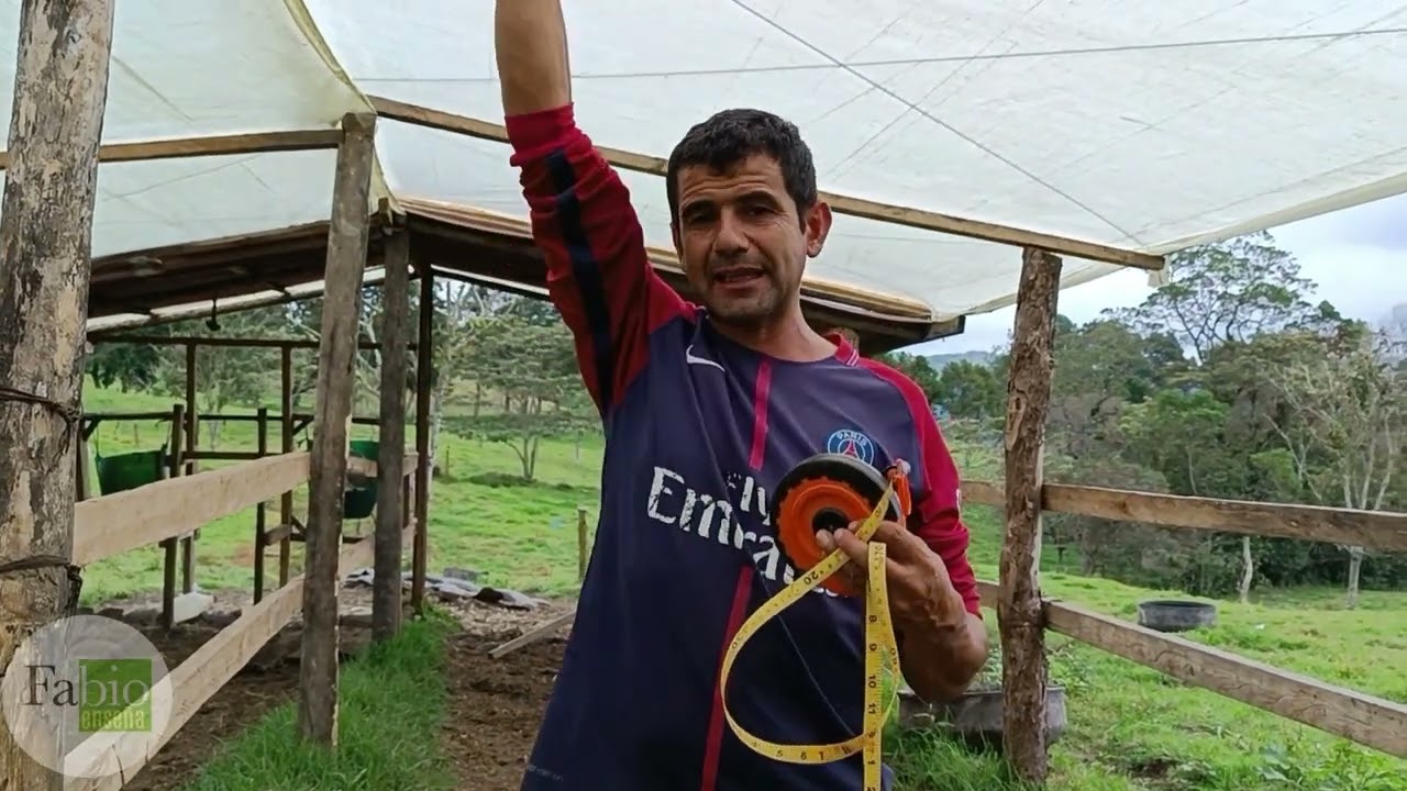 Cómo hacer un Establo super económico.