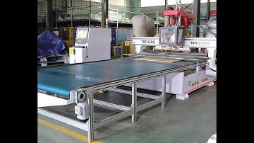 TechPro ATC CNC Router with Drilling bank +  Automatic unloading platform(TPM2030ED)