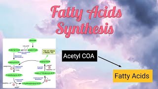 Fatty acids Synthesis #biochemistry #fatty_acids #lipid #anabolism #metabolism