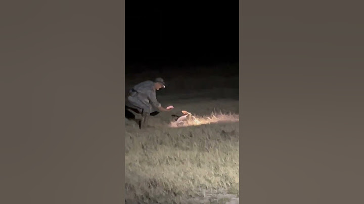 CATCH a RABBIT with bare hands!!! #short #hunting