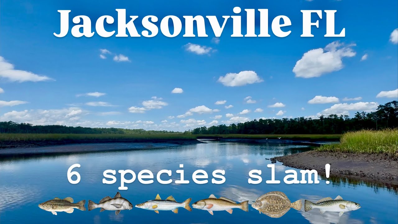 CANT BELIEVE we did this, SEARCHING for SNOOK in NE FLORIDA!