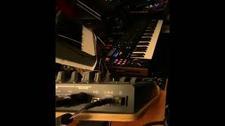 Grooving Techno with Filter, Resonance, and Brute Factor! DrumBrute triggering MicroBrute