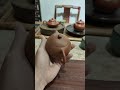 Си ши - "грудь красавицы". Большая